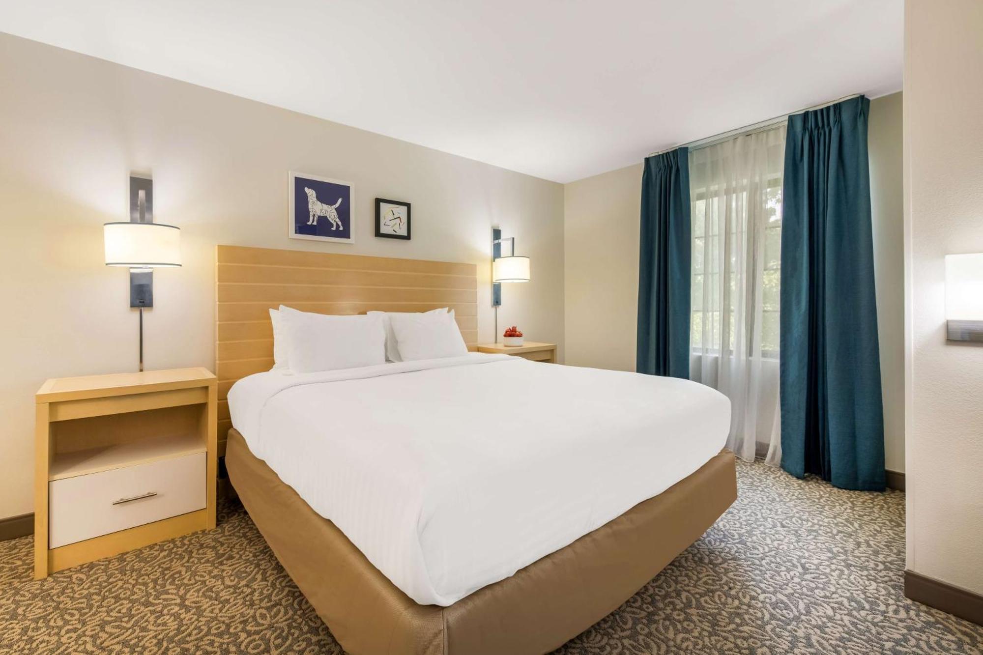 Sonesta Es Suites Charlotte Arrowood Exterior photo